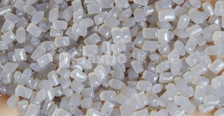 ldpe-reprocess-granules-10-ldpe-reprocess-granule-film-grade-gujarat-india-419